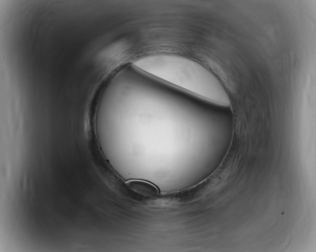 X0000099480251200805090839