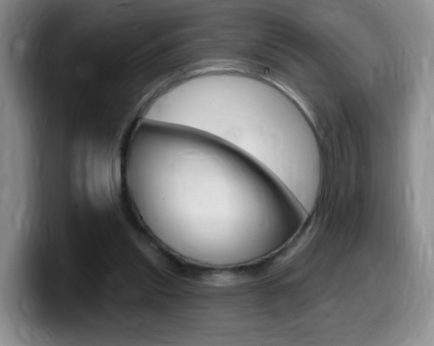 X0000099480253200805090839