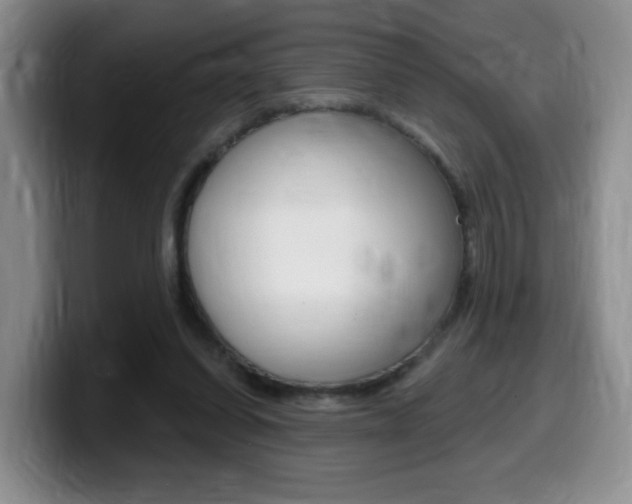 X0000099480254200805090839