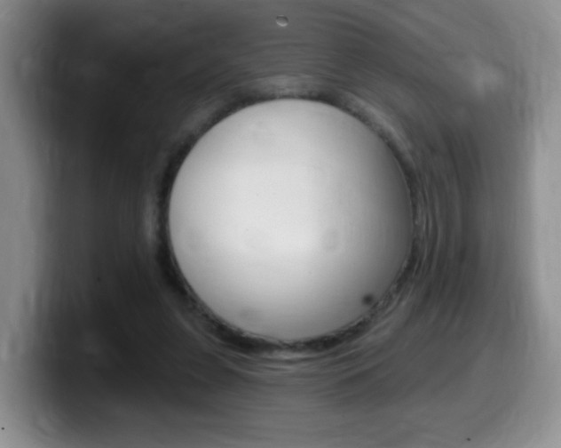X0000099480255200805090839