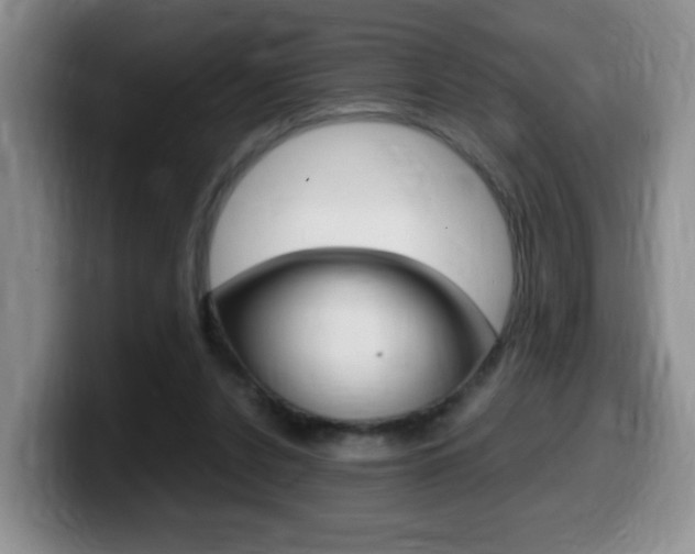 X0000099480256200805090839