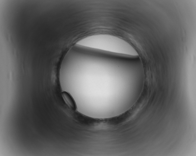 X0000099480259200805090839