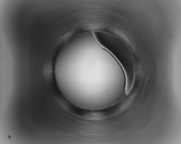 X0000099480260200805090839
