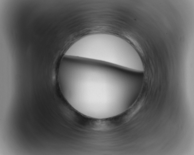 X0000099480261200805090839