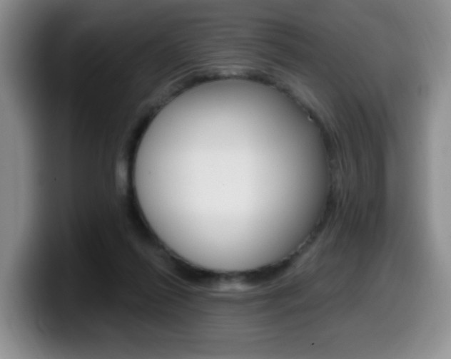 X0000099480262200805090839