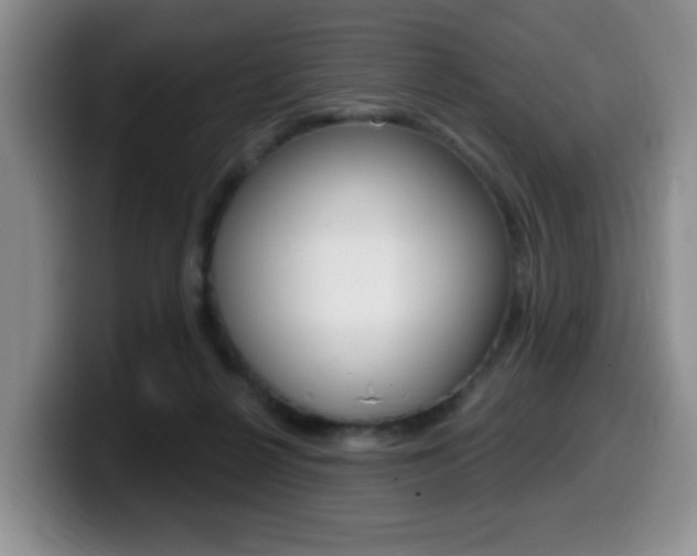 X0000099480264200805090839