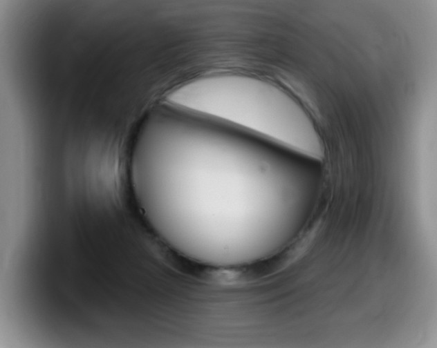 X0000099480265200805090839