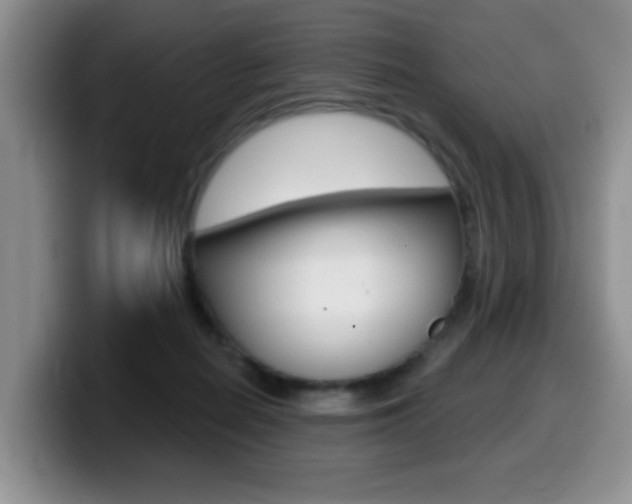 X0000099480266200805090839
