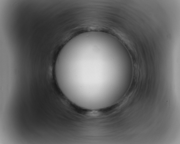 X0000099480269200805090839