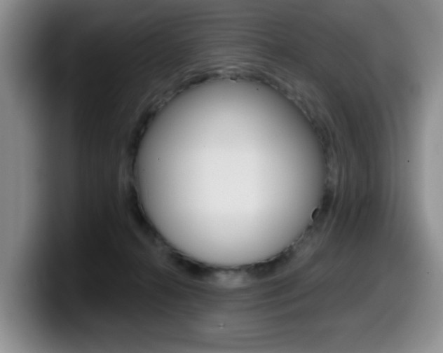 X0000099480272200805090839