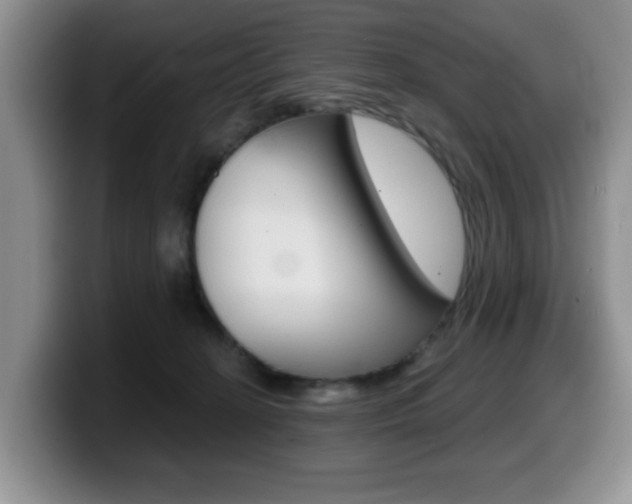 X0000099480274200805090839