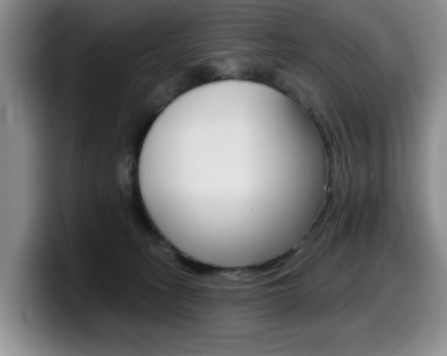 X0000099480275200805090839