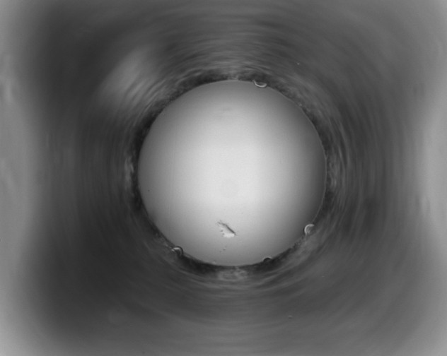 X0000099480279200805090839