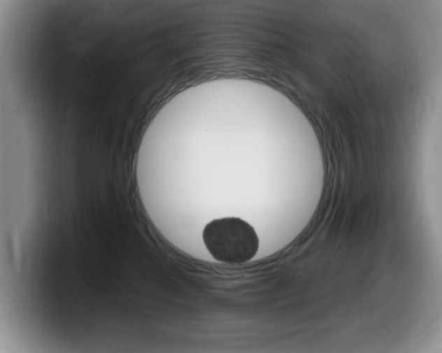 X0000099480280200805090839