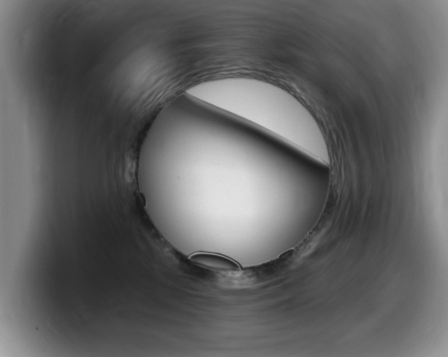 X0000099480281200805090839