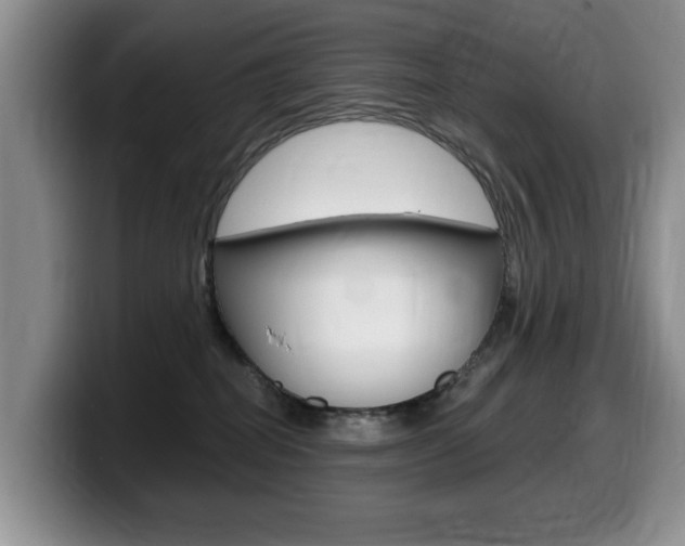 X0000099480282200805090839
