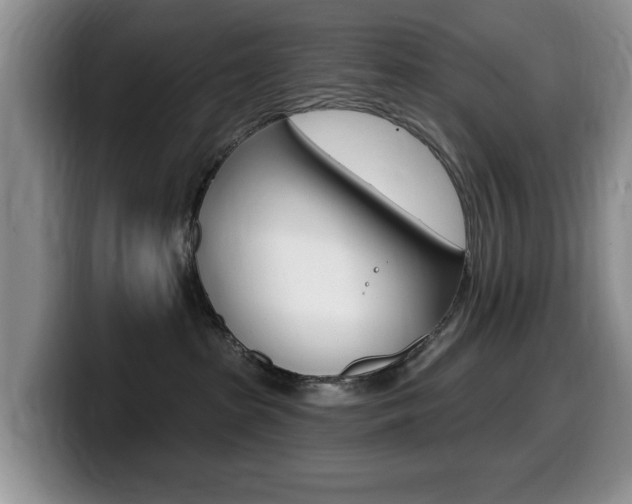 X0000099480285200805090839