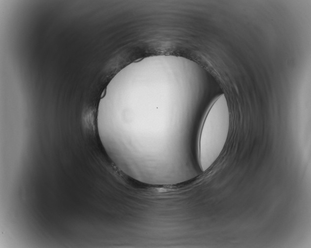 X0000099480286200805090839