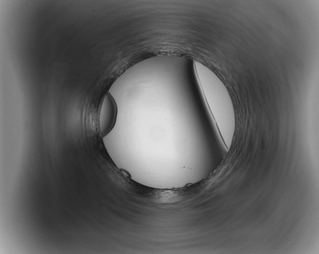 X0000099480287200805090839