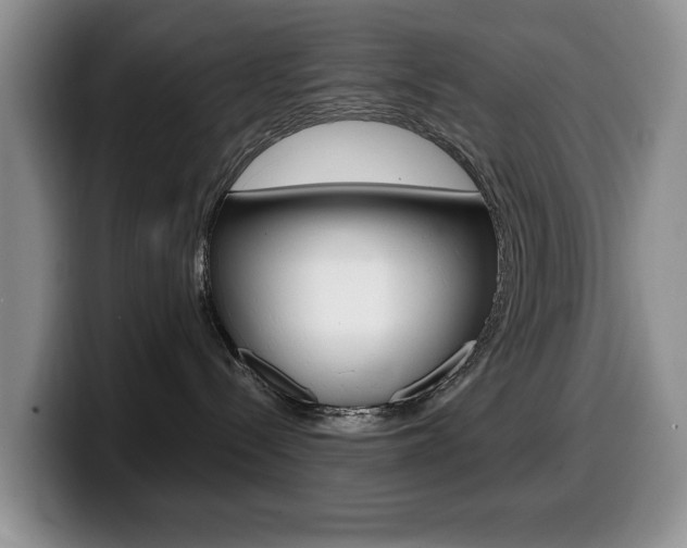 X0000099480288200805090839