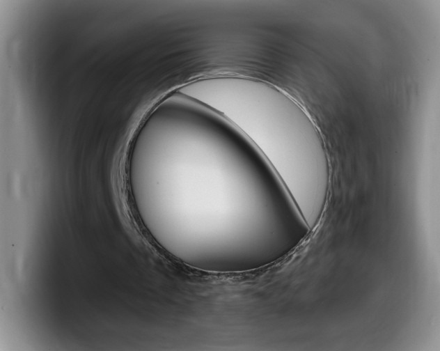 X0000099480289200805090839