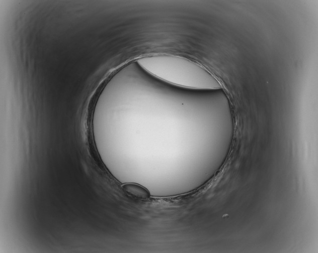 X0000099480290200805090839