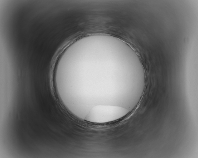 X0000099480293200805090839