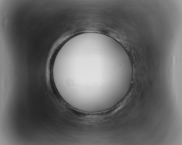 X0000099480294200805090839