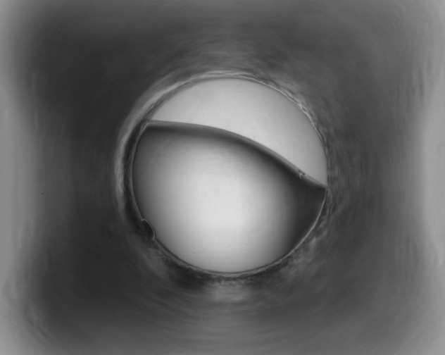 X0000099480296200805090839