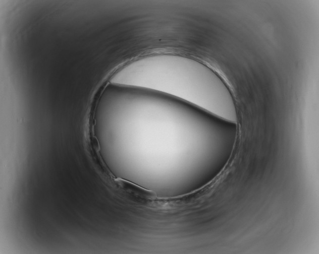 X0000099480297200805090839