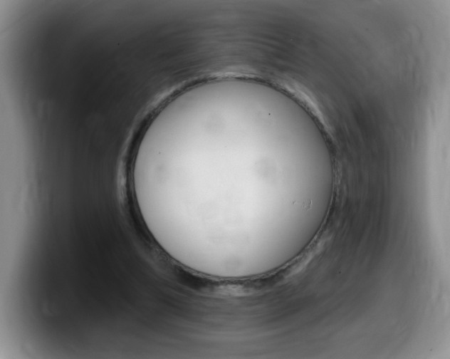 X0000099480298200805090839