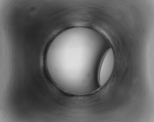 X0000099480299200805090839