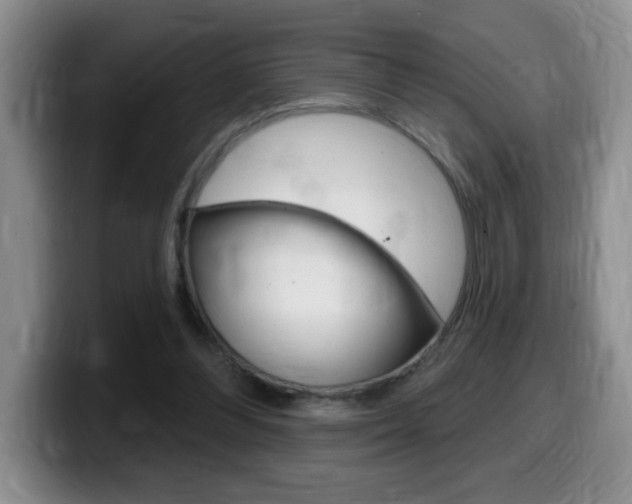X0000099480300200805090839