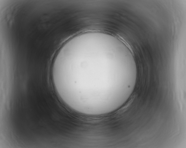 X0000099480301200805090839