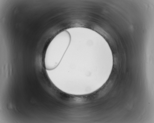 X0000099480302200805090839