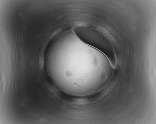 X0000099480304200805090838