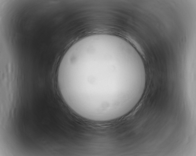X0000099480305200805090838