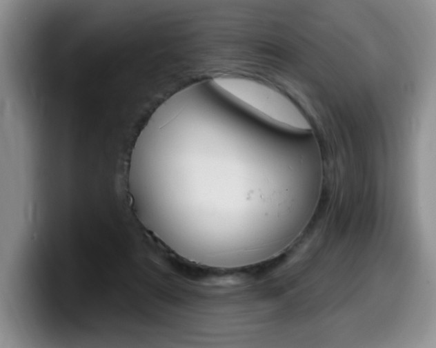 X0000099480307200805090838