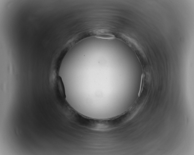 X0000099480308200805090838