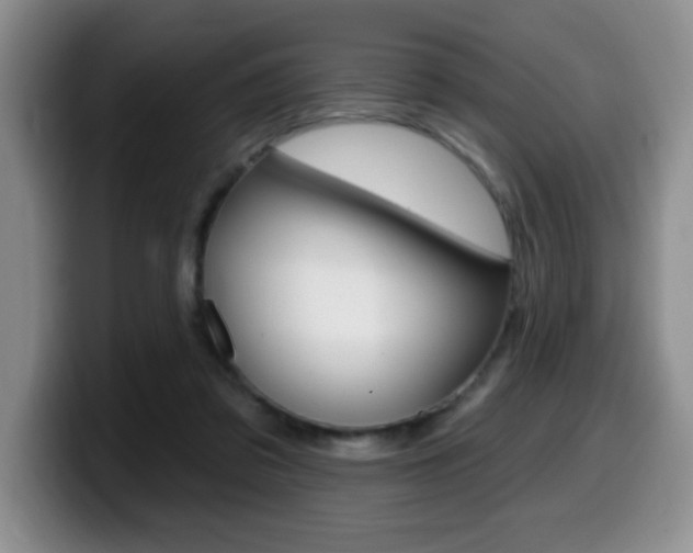 X0000099480309200805090838