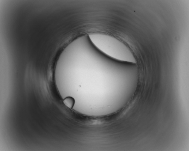 X0000099480310200805090838