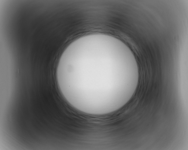 X0000099480312200805090838
