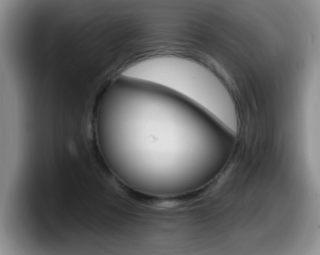 X0000099480313200805090838