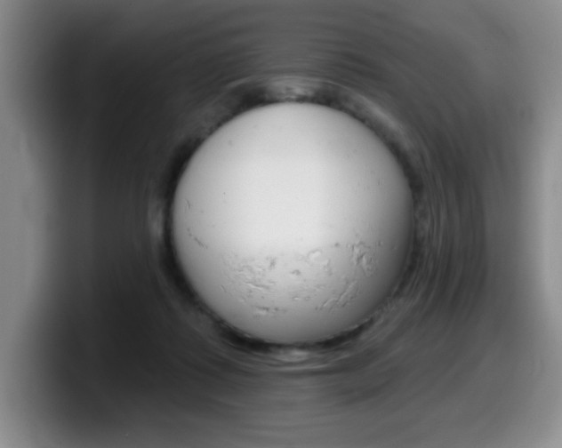 X0000099480315200805090838