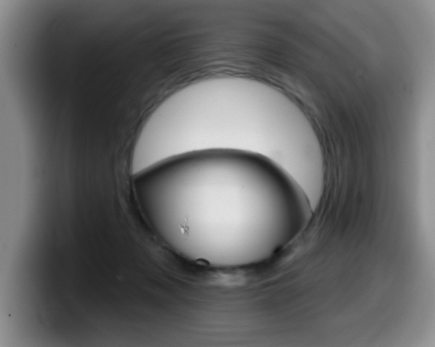 X0000099480317200805090838
