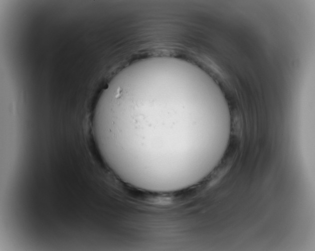 X0000099480318200805090838