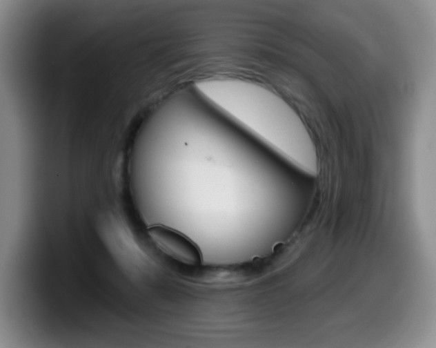 X0000099480319200805090838