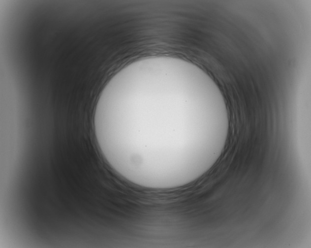 X0000099480320200805090838