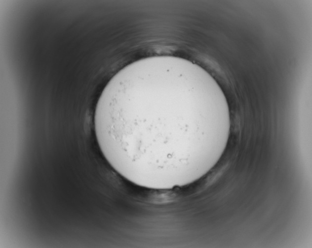 X0000099480321200805090838