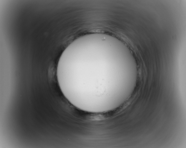 X0000099480322200805090838